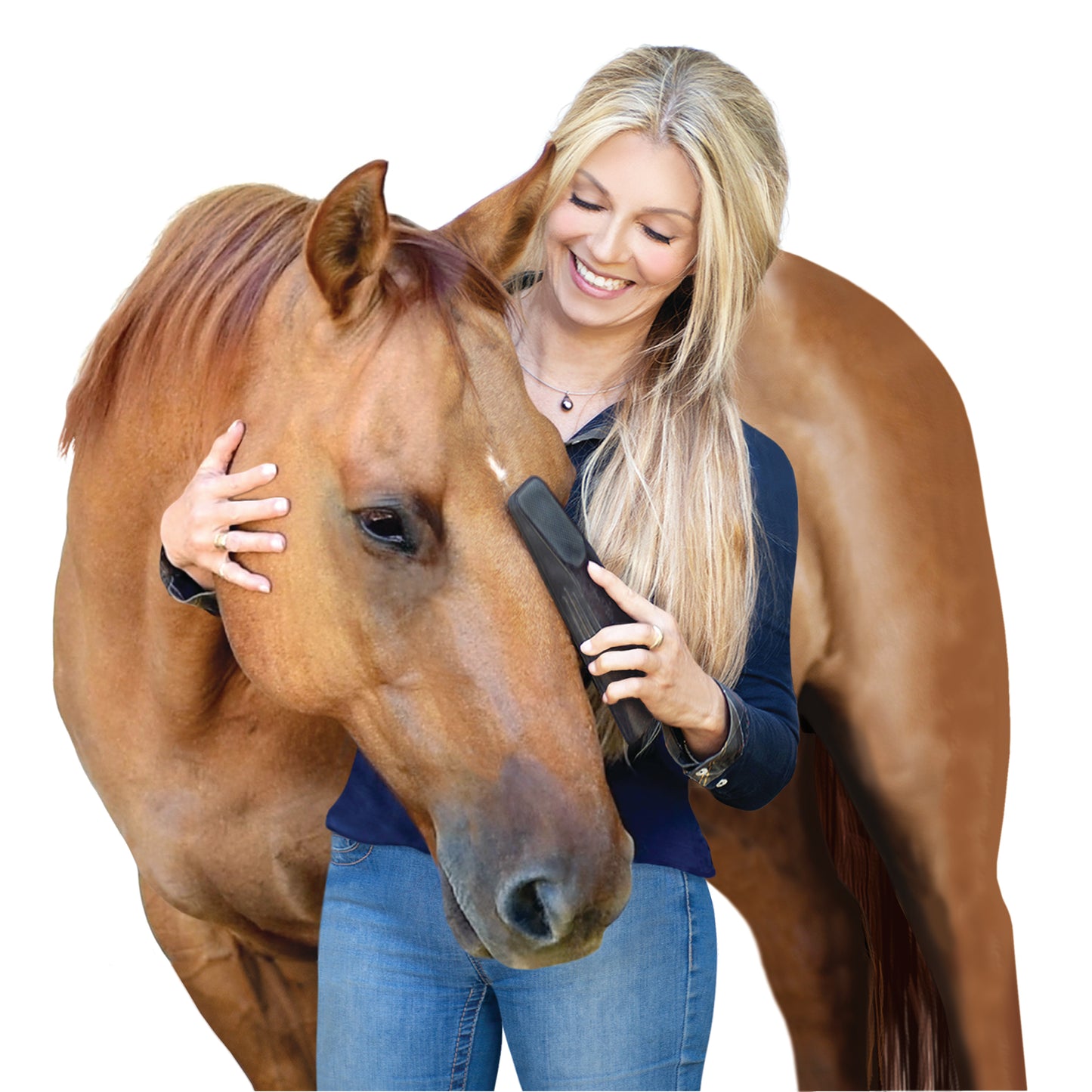 StripHair Gentle Groomer for Horses