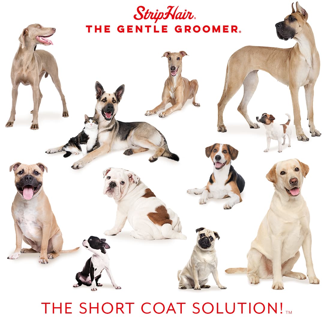 StripHair Gentle Groomer for Pets
