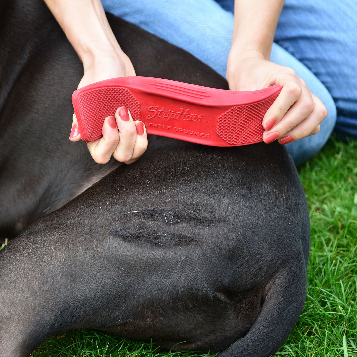 StripHair Gentle Groomer for Pets