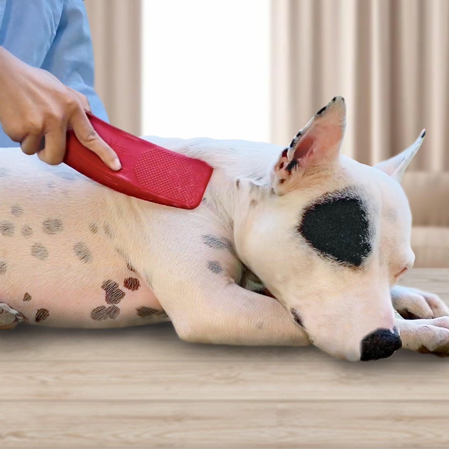 StripHair Gentle Groomer for Pets