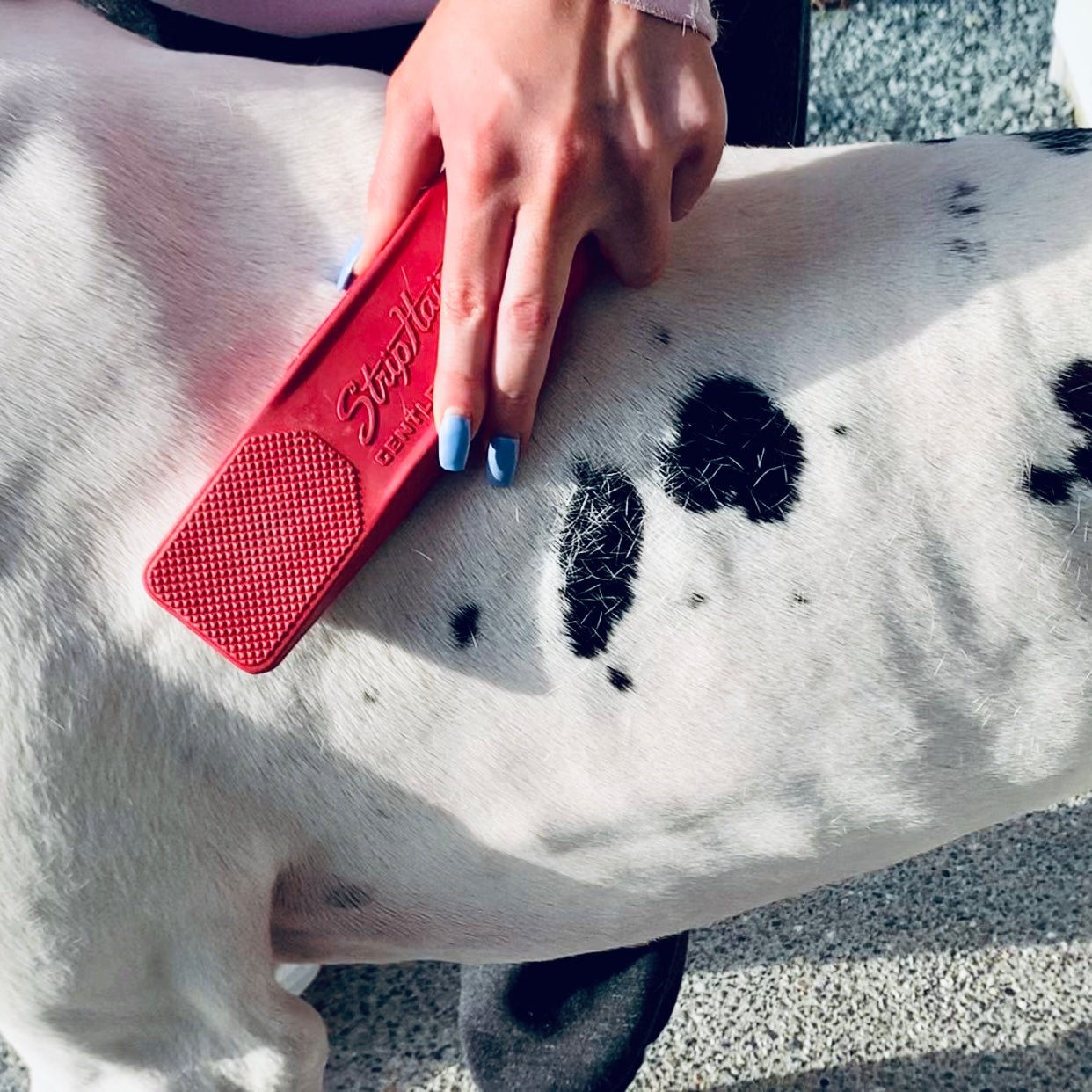 StripHair Gentle Groomer for Pets