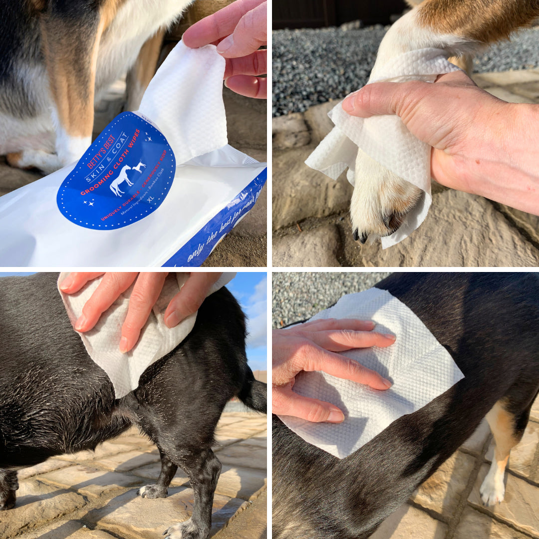Grooming Wipes XL
