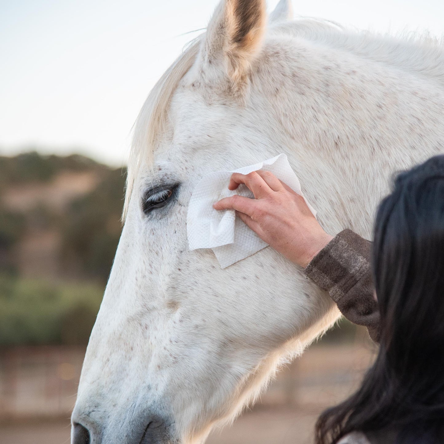 Grooming Wipes XL