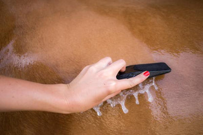 StripHair Gentle Groomer for Horses